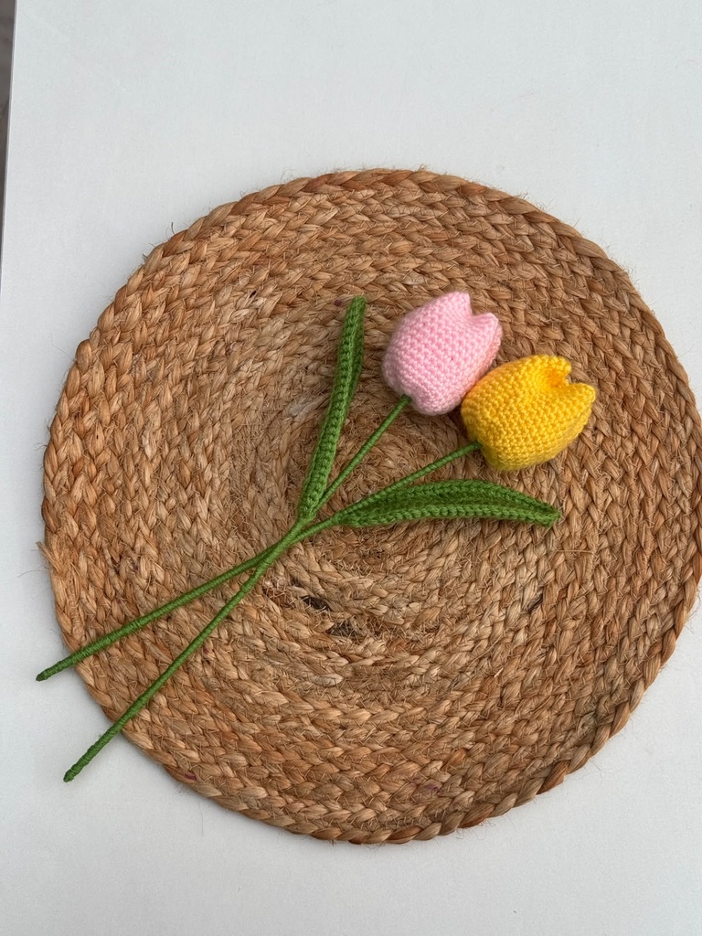 Tulip Flower Stem