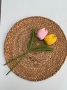 Tulip Flower Stem