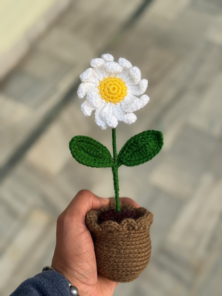 Daisy Potted Desk Flower