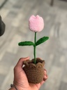 Tulip Potted Desk Flower